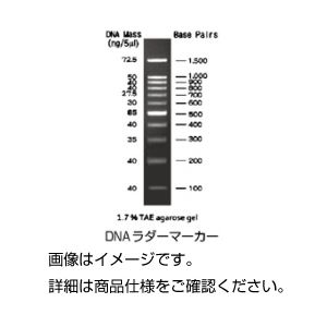 （まとめ）電気泳動用試薬 核酸検出試薬【×3セット】