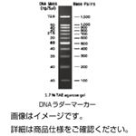 電気泳動用試薬 50xTAE Buffer 1L