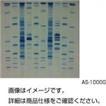 （まとめ）タンパク質染色用試薬 AS-1000G【×3セット】