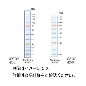 （まとめ）タンパク質分子量マーカー02101-250【×10セット】 - 拡大画像