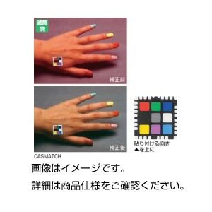 (まとめ)画像補正用カラーチャートCASMATCH【×3セット】 商品画像