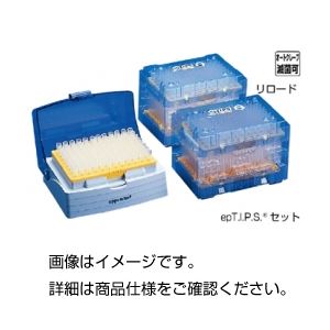 （まとめ）エッペンチップepTIPSセット 0.1～10 入数：96本/トレー×5ボックス1箱(480本)【×5セット】 - 拡大画像