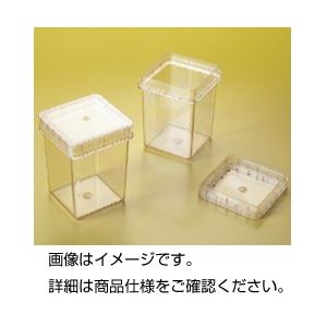 プラントボックス300ml 1箱（100個入） - 拡大画像