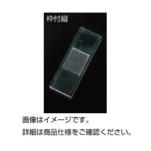 （まとめ）枠付スライドグラス 縦1.0mm目盛 1枚【×3セット】