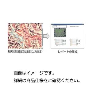 汎用画像処理・計測ソフトWinROOF