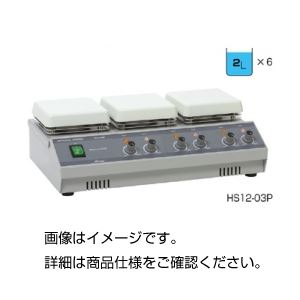 多連式ホットプレートスターラー HS12-03P - 拡大画像