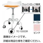 ウェイトロックチェアーTC-1000DB