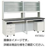 壁面実験台（ガラス戸試薬棚タイプ）KN73EGE