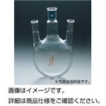 共通摺合三口フラスコ 100ml 15／25