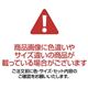 木製宮付すのこローベッド セミダブル ライトブラウン - 縮小画像5