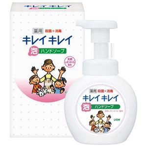 【LION ライオン】 キレイキレイ 【泡ハンドソープ×1】 250ml 化粧箱入り 〔お中元 お歳暮 内祝い〕