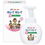 【LION ライオン】 キレイキレイ 【泡ハンドソープ×1】 250ml 化粧箱入り 〔お中元 お歳暮 内祝い〕