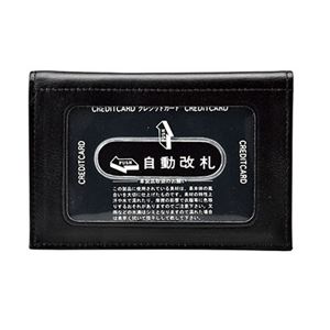 定期入（窓2面）・名刺入 黒 L611-5