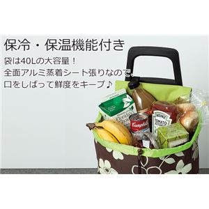 【cocoro (ココロ)】PLAIN BASIC(プレーンベーシック) ショッピングカート/カーキ 商品写真2