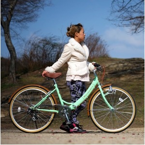 折りたたみ自転車 26インチ/グリーン(緑)×ブラウン 低床型 【Raychell】 レイチェル R-321N - 拡大画像