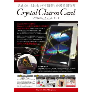 石田三成 スキミング防止カード 商品写真2