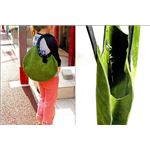 ★dean（ディーン） circle bag レザーバッグ olive（緑）