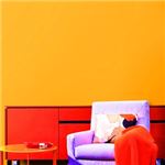 プレミアムウォールデコシート/DIY壁紙シール 【6m巻】 C-WA208 カラー オレンジ