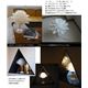 テーブルランプ(照明器具/卓上ライト) 花モチーフ 北欧風 コンパクト 〔リビング照明/寝室照明/ダイニング照明〕 - 縮小画像3
