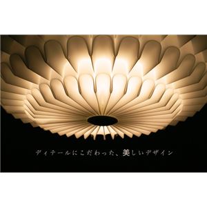 シーリングライト(照明器具) LEDタイプ/4000ルーメン 自然光色 花モチーフ ヨーロッパ調 〔リビング照明/ダイニング照明〕【電球付き】 シーリングライト(照明器具) LEDタイプ/4000ルーメン 自然光色 花モチーフ ヨーロッパ調 〔リビング照明/ダイニング照明〕【電球付き】