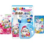 ボールド＆香りのギフトセット BFS-25S(P＆G)