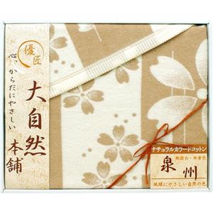 肌にやさしい自然色のシルク入り綿毛布(毛羽部分)SBN15128(大自然本舗)