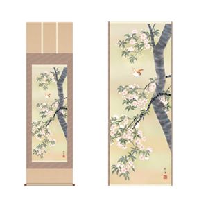 掛軸「桜花に小鳥」 長江桂舟 筆 - 拡大画像