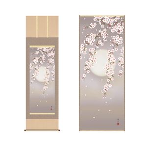 掛軸 「夜桜」 緒方葉水 筆 - 拡大画像