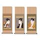 写楽 『歌舞伎 浮世絵掛軸』 3種 市川蝦蔵の「竹村定乃進」 - 縮小画像2