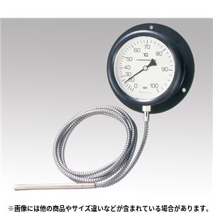 温度計VB-100P No.4300-01 温度計・湿度計 - 拡大画像