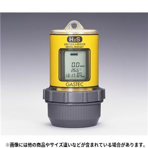 硫化水素測定器 GHS-8AT(10) ガス発生器・ガス濃度計 - 拡大画像