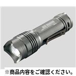 LEDライトRDT-11 ルーペ・ライト関連商品