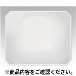 【本体別売】交換用レンズ ビッグアイ用レンズF角型レンズ 光学・ルーペ製品2