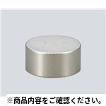 ネオジム磁石NE026 6×5 30個 金属素材、標準物質