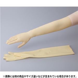 ラテックスロング手袋パウダーフリー L 一般手袋 - 拡大画像