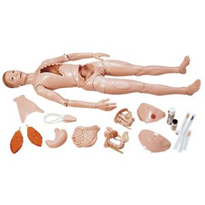 万能型実習モデル人形 【男女兼用】 軟質合成樹脂製 身長175cm M-105-0