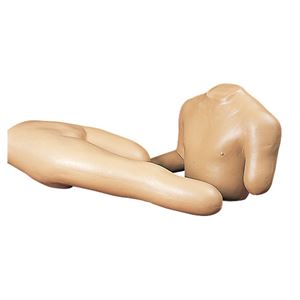 上・下肢切断部包帯法シミュレーター/看護実習モデル 【下肢トルソ/上肢トルソ】 M-111-1 商品画像