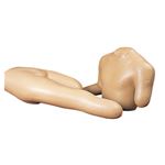 上・下肢切断部包帯法シミュレーター／看護実習モデル 【下肢トルソ／上肢トルソ】 M-111-1