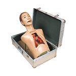 気管支内視鏡練習モデル（看護実習モデル人形） 専用ケース付き M-136-0