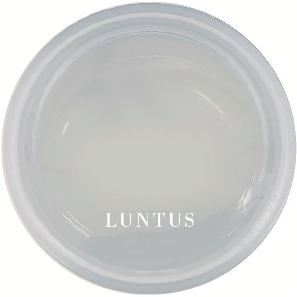 【商品名】 【5個セット】 アスベル ランタス STR-250 250ml ライトブルー A3530 【ジャンル・特徴】 小容量 ランチボックス 食洗機対応 電子レンジ 冷凍 OK 関連ワード:生活用