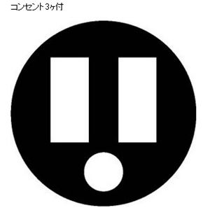 ハタヤリミテッド AW-PN301K 防雨型コードリール （2PNCT・30M）
