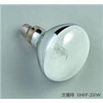 ハタヤリミテッド RGM-205K 水銀作業灯 200W・5M接地付