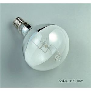 ハタヤリミテッド RGM-305 水銀作業灯 300W・5M