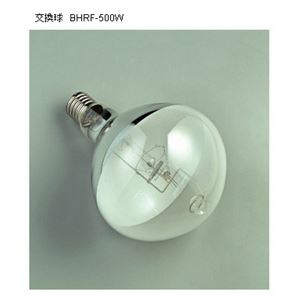 ハタヤリミテッド RGM-505 水銀作業灯 500W 5M