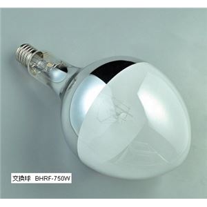 ハタヤリミテッド RMHA-7510K ハイハイスタンド付水銀作業灯 750W
