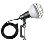 ハタヤリミテッド REL-5W LED作業灯 （40W・5M）
