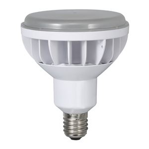 ハタヤリミテッド LDR40N-H110 LED電球 （40W）