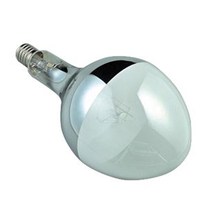 ハタヤリミテッド BHRF-750W 水銀灯用バラストレスランプ（750W）