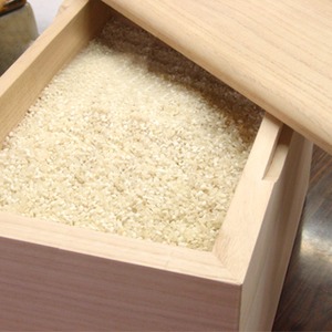 泉州 留河　桐の米びつ　無地30kg 商品画像