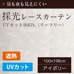 採光レースカーテン/目隠し 【2枚組 100×198cm/リーフリー】 UVカット機能付き 遮熱 遮像 洗える